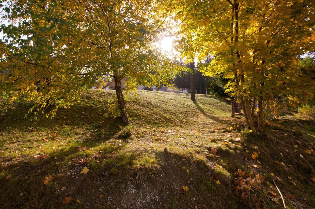 Lipno Club Villa Frymburk Luaran gambar